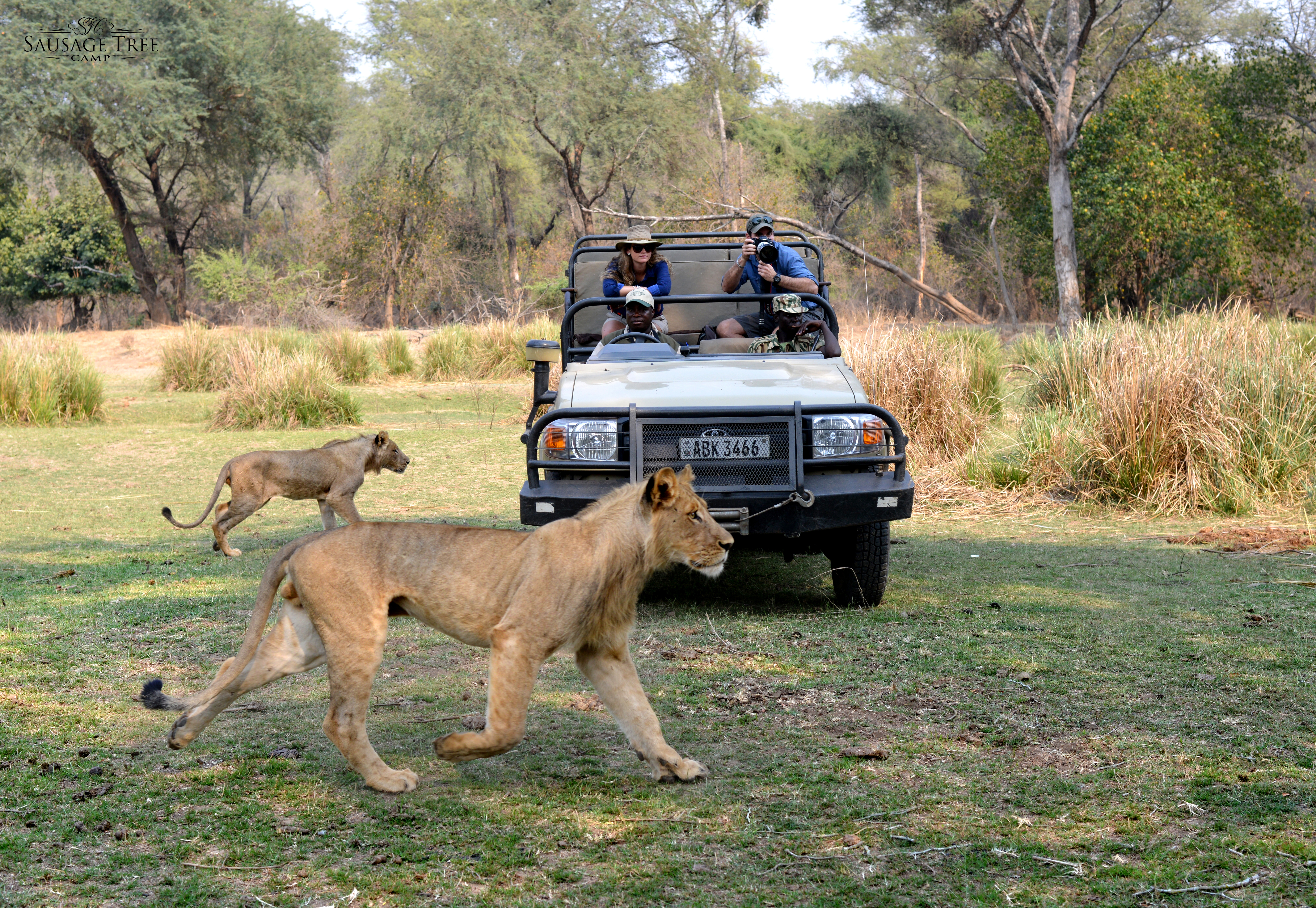 Lower Zambezi safari